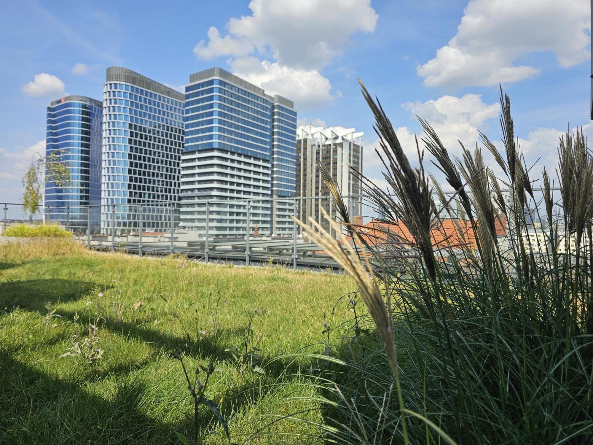 Urban Apartments Premium, Opolska 10 No 36, Free Garage, Self Check-In Katowice Ngoại thất bức ảnh